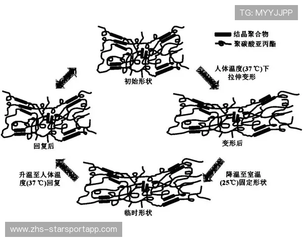 体育器材制造业的材料革新与技术专利壁垒